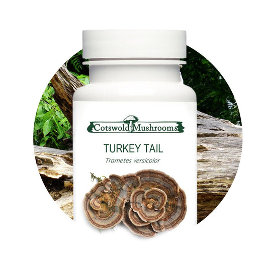 Turkey Tail Supplements by Cotswold Mushrooms